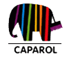 Logo Caparol